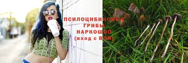 гидра Алексин