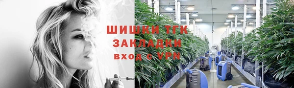 гидра Алексин
