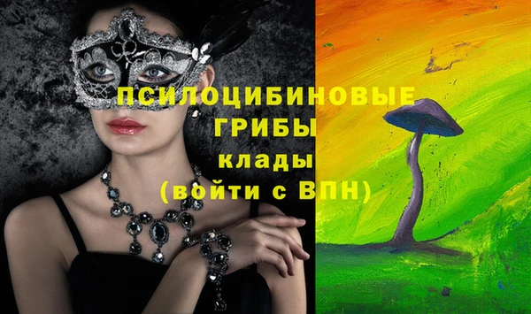 PSILOCYBIN Алексеевка