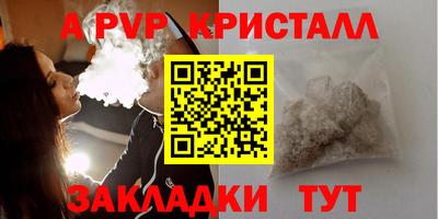 прущие грибы Гусиноозёрск