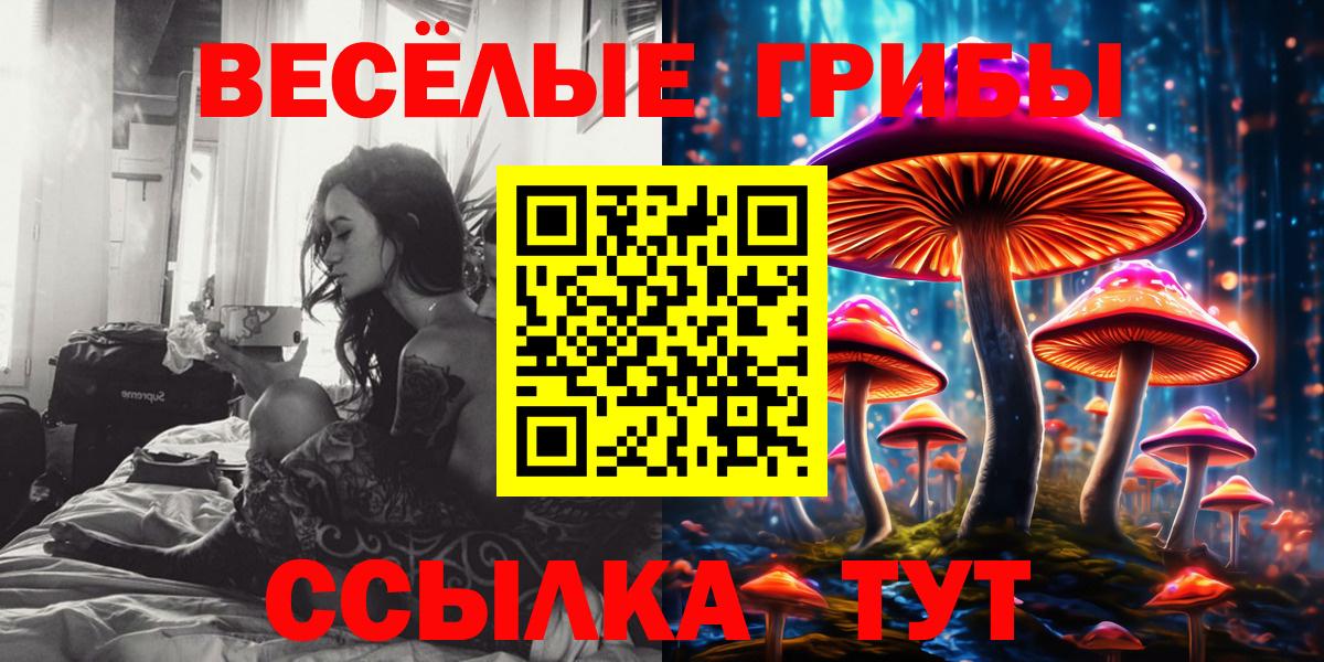 НБОМе Коркино