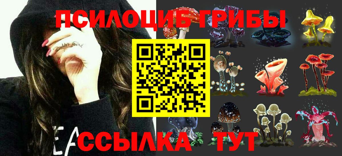 Псилоцибиновые грибы мухоморы Коркино